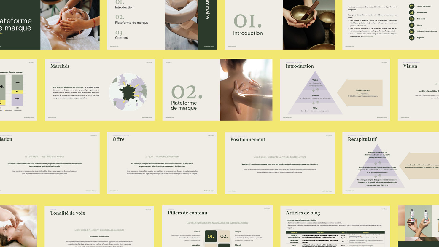 Nandara brand platform slides covering vision, mission and positioning